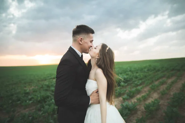 Vackra par i fält, älskare eller nygift poserar på solnedgången med perfekt sky — Stockfoto