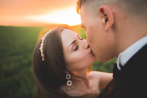 Düğün, güzel romantik gelin ve damat öpüşme günbatımında kucaklayan — Stok fotoğraf