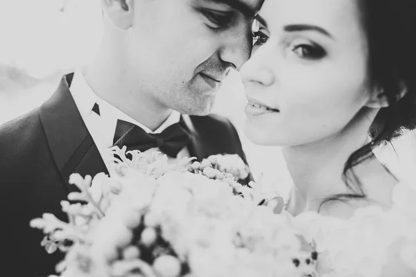 Romántico, cuento de hadas, feliz pareja recién casada abrazándose y besándose en un parque, árboles en el fondo — Foto de Stock