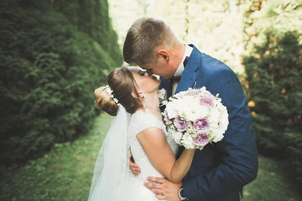 Pareja feliz boda caminando en un parque botánico —  Fotos de Stock