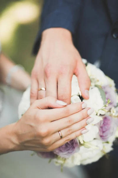 Весільна пара наречена і наречена тримаються за руки — стокове фото