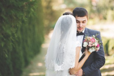 Mükemmel bir çift gelin ve damat düğün günlerinde poz verip öpüşürler.