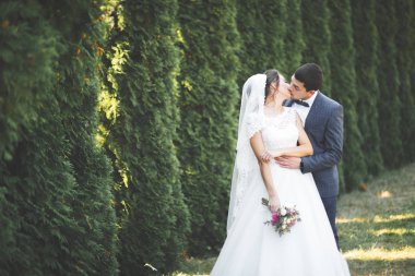 Mükemmel bir çift gelin ve damat düğün günlerinde poz verip öpüşürler.