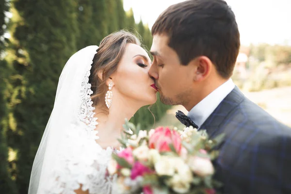 Perfektes Paar Braut, Bräutigam posiert und küsst sich am Hochzeitstag — Stockfoto