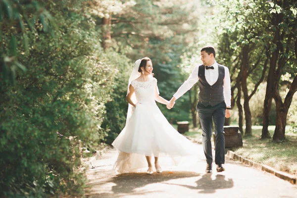 Coppia perfetta sposa, sposo posa e baci nel loro giorno del matrimonio — Foto Stock