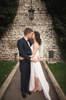 Onların düğün günü bitkiler çalılar ağaçlar güzel duvara yakın poz muhteşem yeni evli