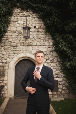 Lüks Damat Düğün Park için hazırlar