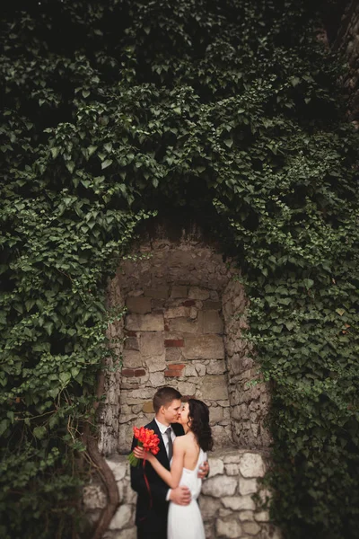 Zarif Güzel Düğün Çift Gelin Damat Çalılar Duvarına Yakın Park — Stok fotoğraf