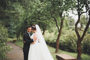 Romantik, peri masalı, mutlu yeni evli çift parkta sarılıp öpüşüyor, arka planda ağaçlar...