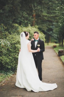 Mükemmel bir çift gelin ve damat düğün günlerinde poz verip öpüşürler.