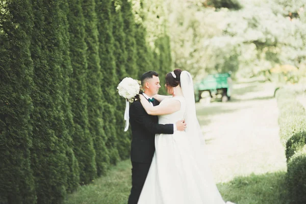 Perfektní pár nevěsta, ženich pózování a líbání v jejich svatební den — Stock fotografie