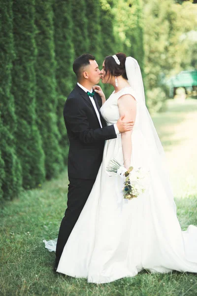 Pareja feliz boda caminando en un parque botánico — Foto de Stock