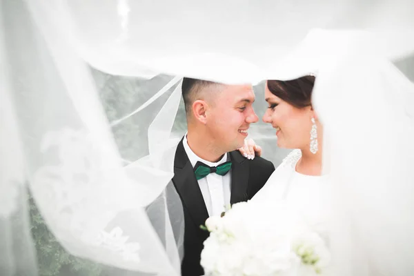 Boda pareja novia y novio de la mano — Foto de Stock