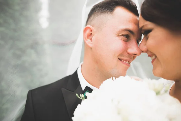 Romántico, cuento de hadas, feliz pareja recién casada abrazándose y besándose en un parque, árboles en el fondo — Foto de Stock