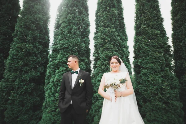 Casal perfeito noiva, noivo posando e beijando em seu dia do casamento — Fotografia de Stock