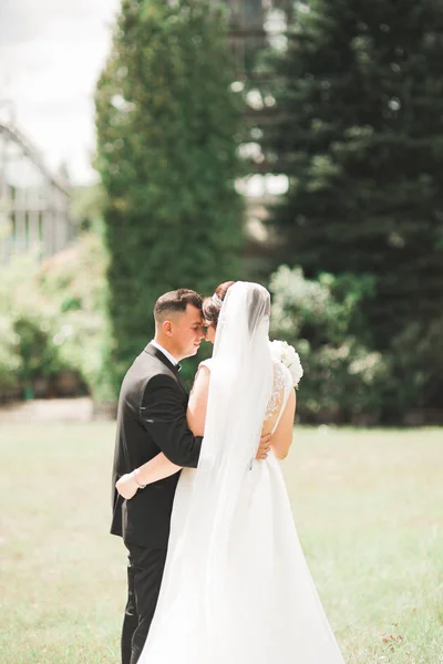 Boda pareja novia y novio de la mano — Foto de Stock