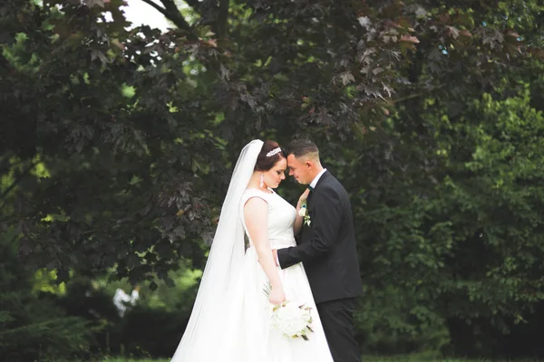 Boda pareja novia y novio de la mano — Foto de Stock