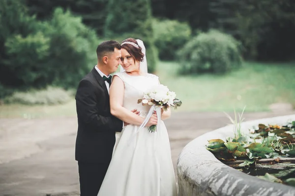 Romántico, cuento de hadas, feliz pareja recién casada abrazándose y besándose en un parque, árboles en el fondo — Foto de Stock