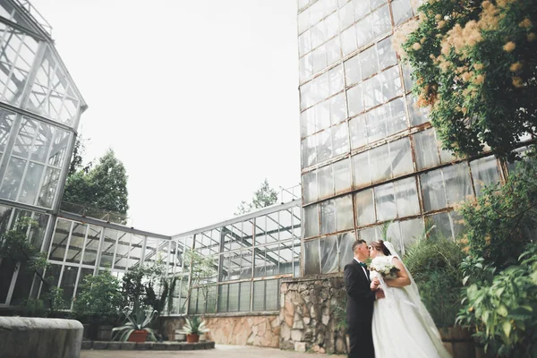 Preciosa pareja feliz boda, novia con vestido blanco largo posando en la hermosa ciudad — Foto de Stock