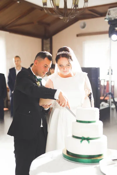 Noiva e noivo no casamento cortando o bolo de casamento — Fotografia de Stock