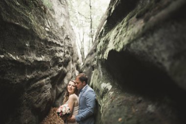 Muhteşem düğün çift öpüşme ve orman büyük kayalar ile sarılma