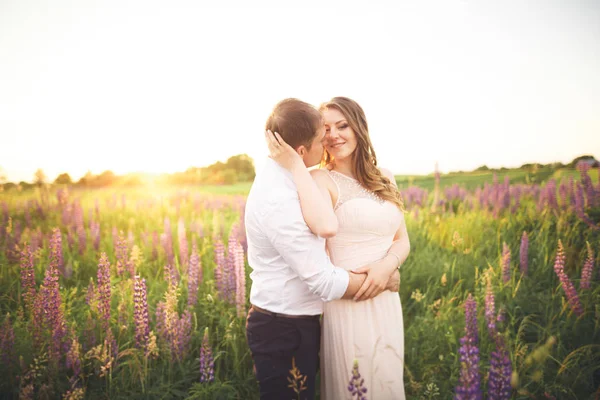 Hermosa pareja, novia, novio besándose y abrazándose en el campo puesta de sol —  Fotos de Stock