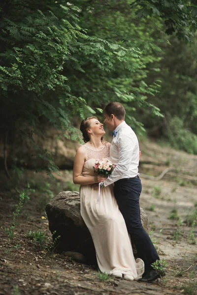 美丽的新婚夫妇亲吻着，拥抱着山河畔的石头 — 图库照片