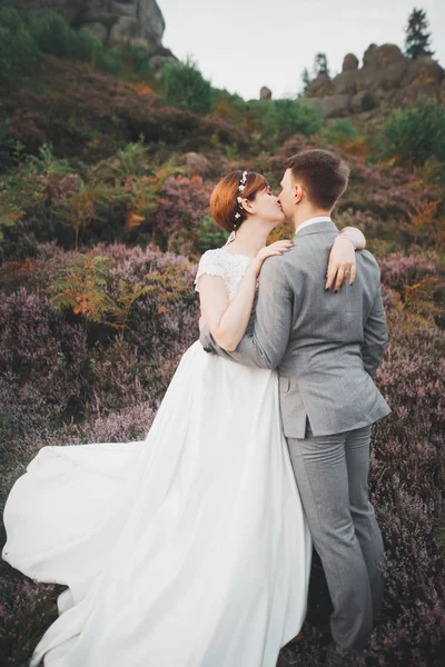 Gorgeous wedding couple kissing and hugging in forest with big rocks — Stock Photo, Image