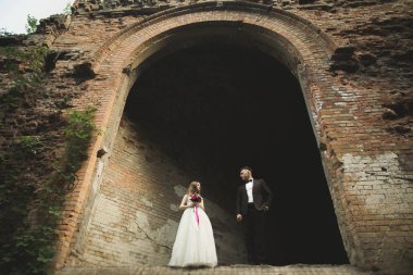 Güzel bir peri masalı yeni evli çift eski ortaçağ şatosunun yakınlarında sarılıyor.