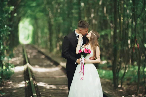 Luxe stijlvolle jonge bruid en bruidegom op de achtergrond lente zonnige groen bos — Stockfoto