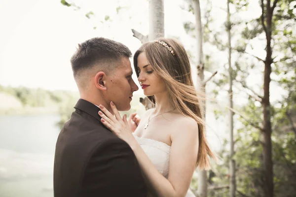 Birbirlerine aşık düğün çifti güzel manzarada kayaların yanında öpüşüyor ve sarılıyorlar. — Stok fotoğraf