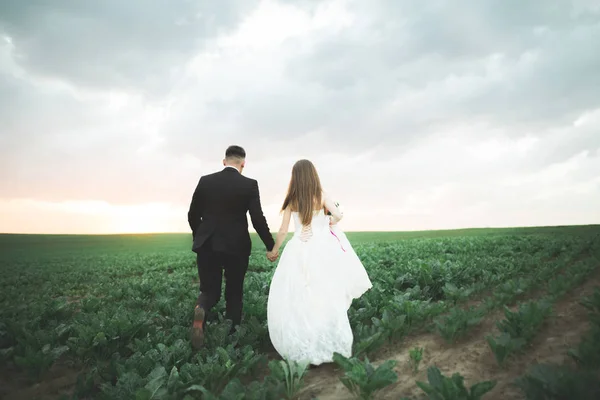 Hermosa pareja de boda, novia y novio posando en el campo durante la puesta del sol — Foto de Stock