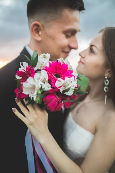 Boda, hermosa novia romántica y novio besándose abrazándose al atardecer — Foto de Stock