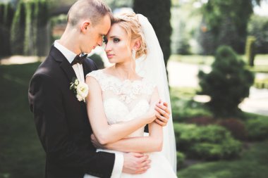 Genç bir çiftin şehvetli portresi. Açık hava.