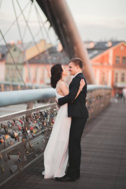 Muhteşem düğün çift, gelin ve damat Krakow Bridge'de poz