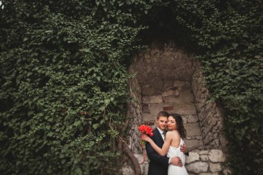 Onların düğün günü bitkiler çalılar ağaçlar güzel duvara yakın poz muhteşem yeni evli