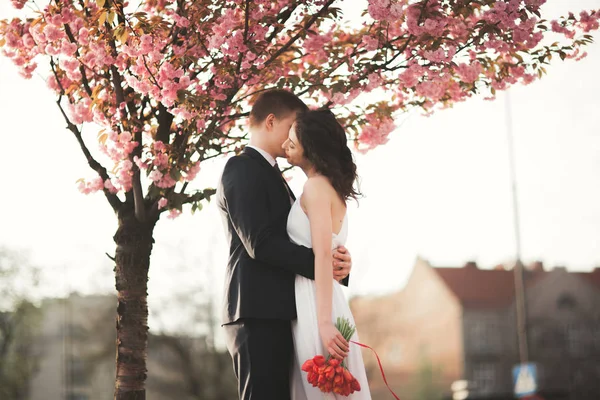 Elegante pareja de boda amorosa besándose y abrazándose cerca del árbol con flores —  Fotos de Stock