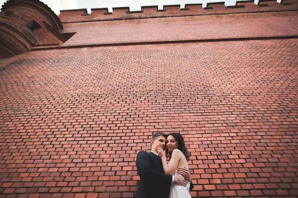 Maravillosa pareja de boda de lujo posando cerca de gran pared —  Fotos de Stock