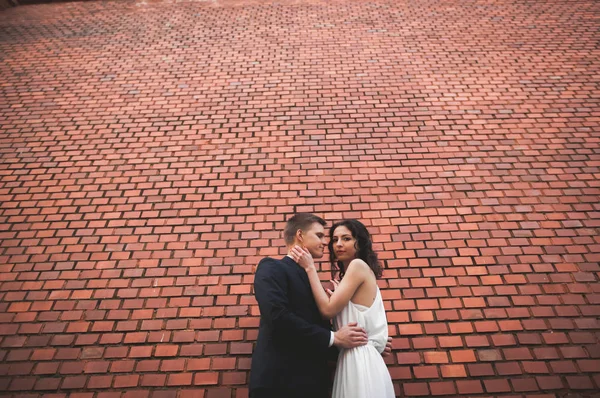 Underbar lyx bröllop par poserar nära muren — Stockfoto