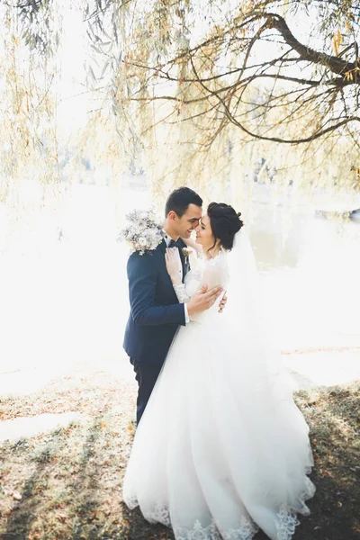 Boda pareja novia y novio de la mano —  Fotos de Stock