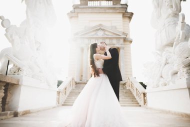 Lüks düğün çifti, gelin ve damat Viyana 'da poz veriyor.