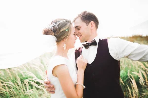 Emotional beautiful bride hugging newlywed groom at a field closeup — Stock Photo, Image