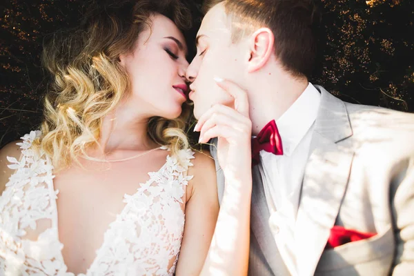 Beautiful bride and groom embracing and kissing on their wedding day outdoors — Stock Photo, Image