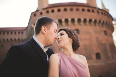 Mutlu düğün çift, damat, Gelin pembe elbise ile sarılma ve birbirlerine arka plan üzerinde gülümseyen duvarlar kalede