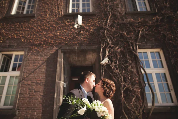 Young wedding couple in love story, bride and groom posing near building on the background. Krakow — Stock Photo, Image