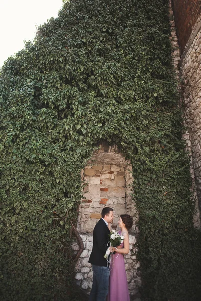 Coppia di nozze di lusso abbracciare e baciare sullo sfondo splendide piante, grotta vicino antico castello — Foto Stock