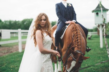 Yeni evli çift düğün doğa güzel ata stand