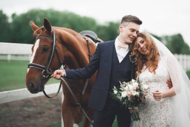 Gelin ve damat atlarla ormanda. Düğün çifti. Doğada güzel portre