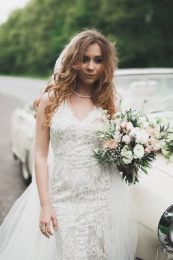 Retro arabada ayiklama gününde poz mutlu gelin