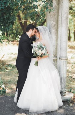 Mutlu düğün çift gelin ve damat bir botanik parkında poz